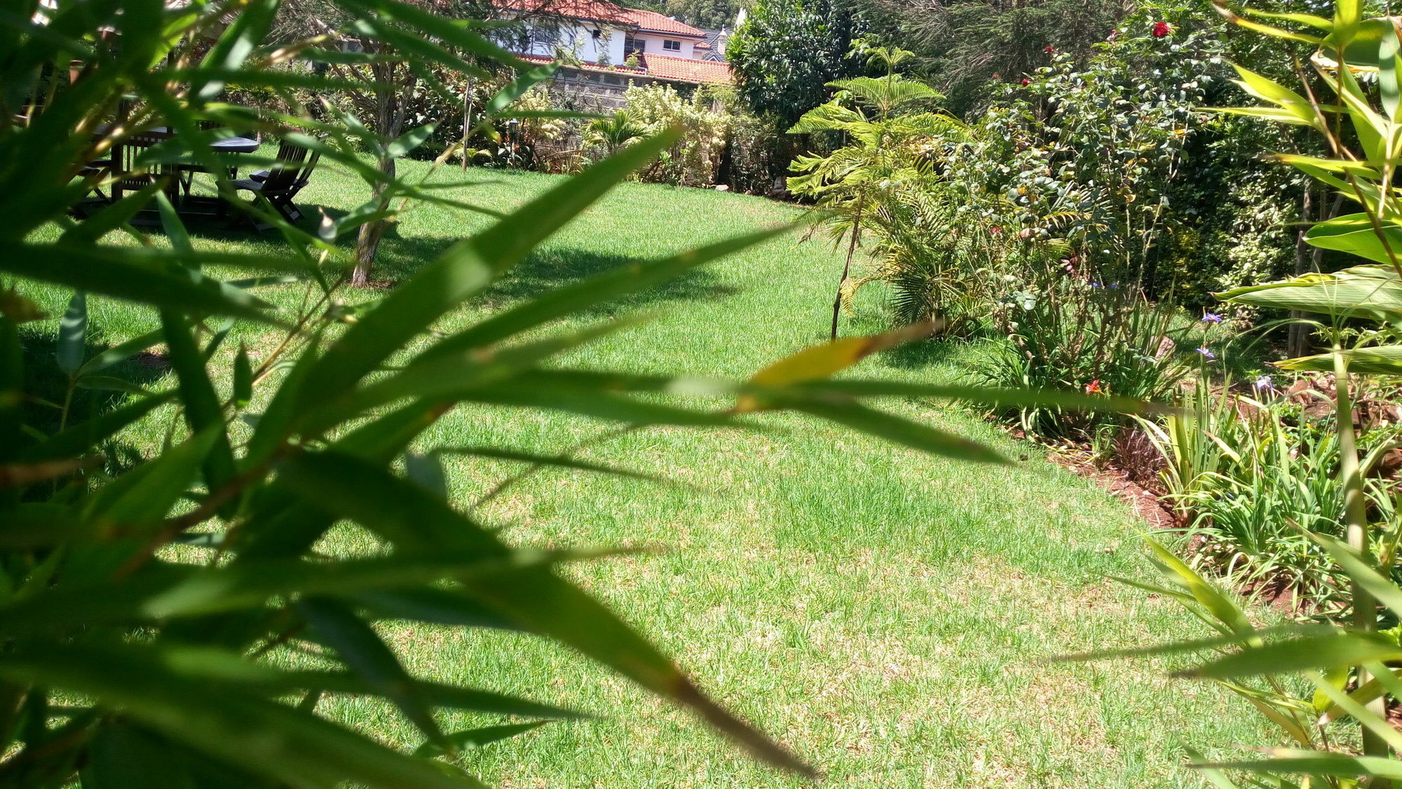 Fairacres House & Spa Langata Exterior foto